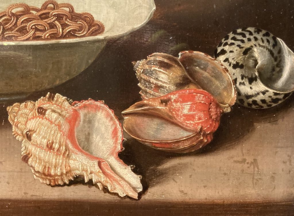 Ausschnitt eines Gemäldes mit vier unterschiedlich gestalteten Muschelgehäusen, die Farbgebung ist dominiert von perlmutt, schimmernden Rosa-, Braun- und Silber-Tönen