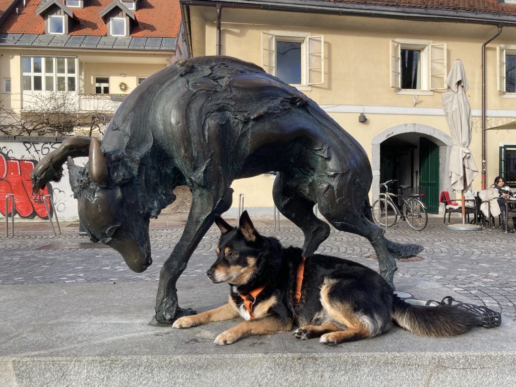 auf einem Sockel nebeneinander die verfremdete Statue eines Hundes oder Wolfs mit gebuckeltem Rücken und erhobener rechter Vorderpfote, daneben liegt entspannt auf der Seite ein schwarzbrauner Hund, der in dieselbe Richtung schaut, wie die Statue