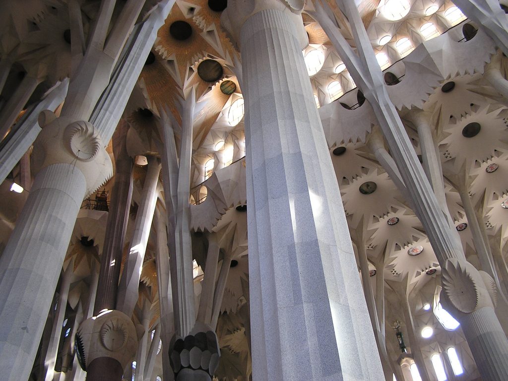 Innenraum mit nach oben „wachsenden“ Säulen, die sich in Richtung Decke verzweigen, von oben sieht es aus, als ob Blüten nach unten wachsen würden